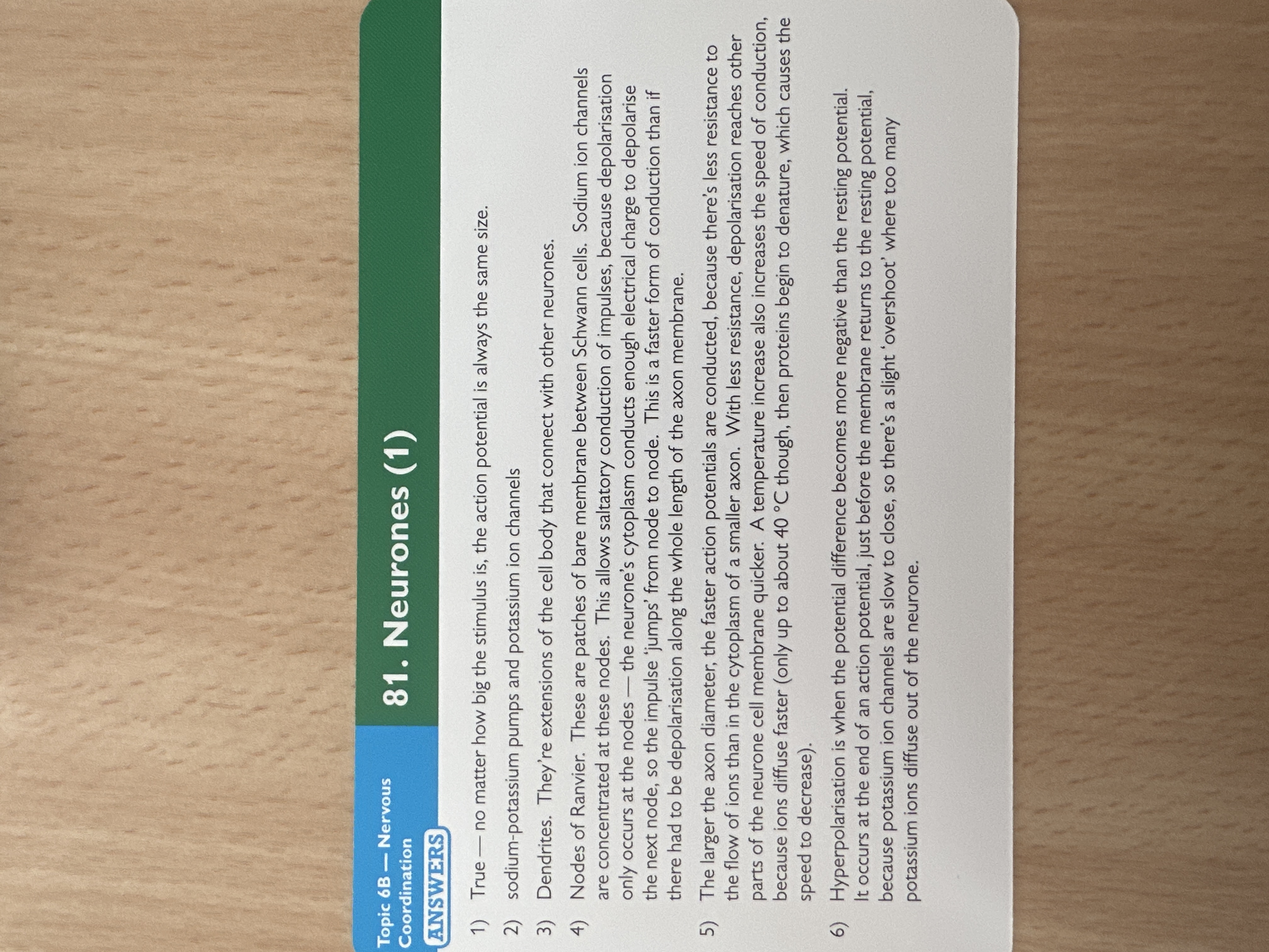 knowt flashcard image