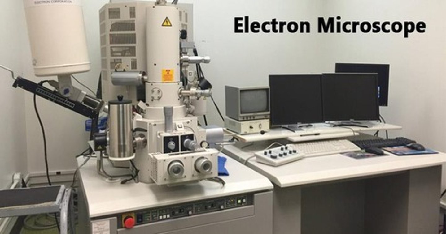 <p>It has greater magnifying power and resolution, capable of magnifying objects up to 500,000 times their actual size.</p>