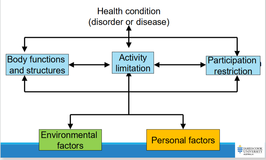 <p>ICF Framework</p>