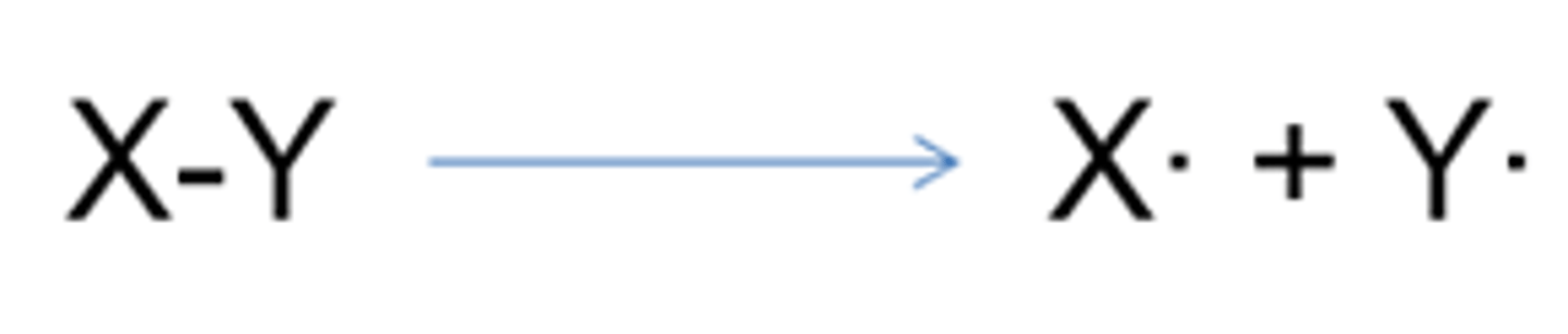 <p>Two species of the same type are produced (two radicals)</p>