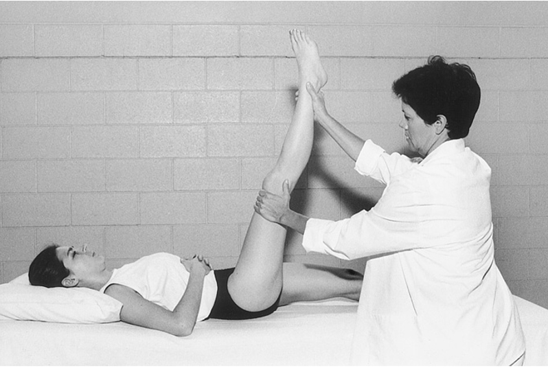 <p>•Muscles involved: <span style="color: blue">semitendinosus, semimembranosus, biceps femoris</span></p><p>•Flexion of the hip between 70-80 dg is considered normal</p><p>•precaution with acute lumbar or hip pathology</p>