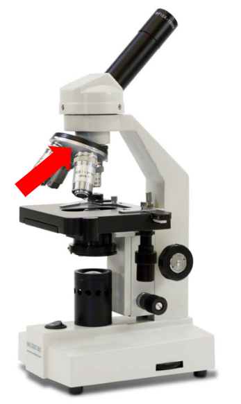 <p>What is this part called?</p>