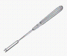 <p>this picture shows</p>