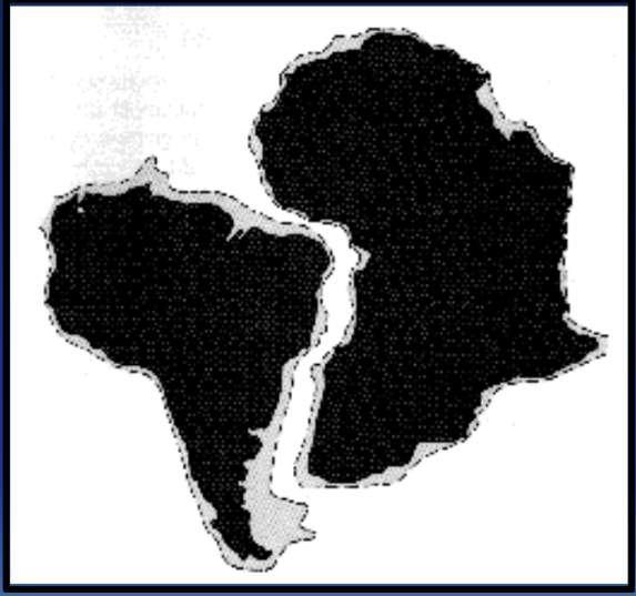 <p>the margins of some continents look like they could fit together</p>