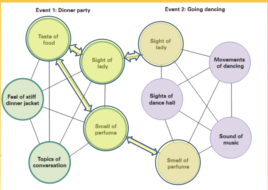 <ul><li><p>Rule of Mind</p></li><li><p>proposed that experiences link ideas in the mind</p></li><li><p>remembering one idea would spread along links, retrieving a complex episode</p></li><li><p>associationism&nbsp;</p></li><li><p>link together different elements</p><ul><li><p>remembering one thing can unlock another memory because they are linked together</p></li></ul></li><li><p>proposed these links would be physically forms in the brain, providing an early link between psychology &amp; neuroscience </p></li></ul><p></p>