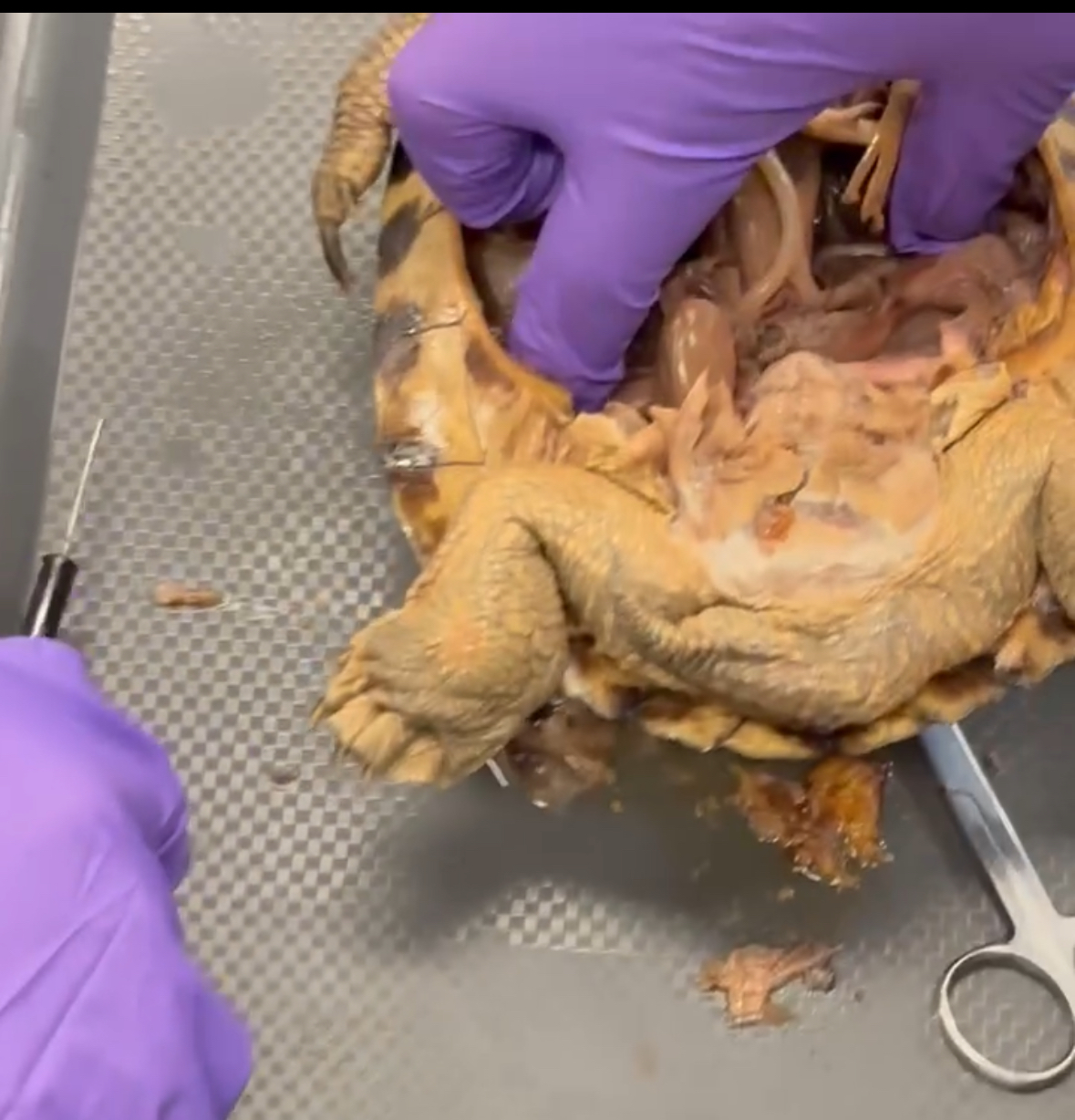 <p>What should be where his index finger is dug into</p>