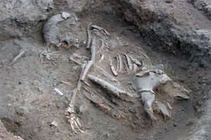 <p><strong>Hasty burial in Hamoukar ruins</strong></p>