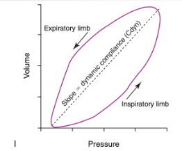 <ul><li><p><span>Because the patient is receiving IPPV, inflation of the lungs corresponds with a rise in circuit pressure (inspiratory limb)</span></p></li><li><p><span>In a spontaneously breathing patient (or one&nbsp; in a negative pressure ventilator/iron lung), the addition of volume to the circuit would be associated with a decrease in circuit pressure and so the tracing of the loop would be in a counterclockwise direction</span></p></li><li><p><span>Important features of I</span></p><ul><li><p><span>The loop does not begin at a pressure value of zero - indicates the patient is on PEEP</span></p></li><li><p><span>The pressure and volume values recorded at the highest value of the loop (upper right hand area of the plot) would correspond to PIP and tidal volume, respectively</span></p></li></ul></li></ul><p></p>