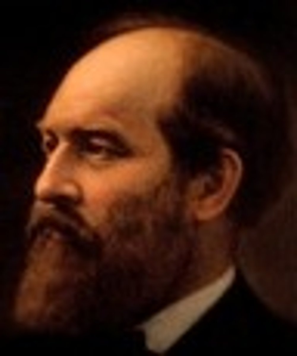 <p>20th president</p><p>1880-1881 (1 year)</p>
