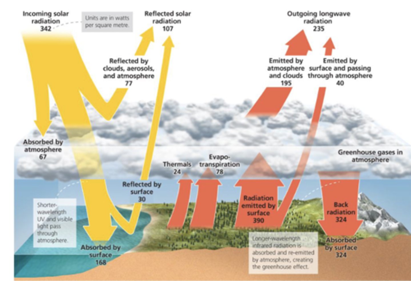 <p>107 reflected by atmosphere, cloud, and land</p><p>67 absorbed by atm</p><p>168 absorbed by earth</p>