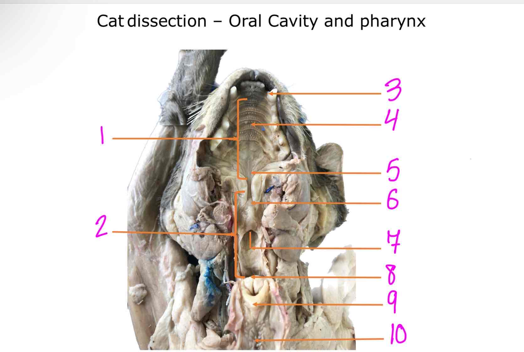 <ol><li><p></p></li><li><p></p></li><li><p></p></li><li><p></p></li><li><p></p></li><li><p></p></li><li><p></p></li><li><p></p></li><li><p></p></li><li><p></p></li></ol>