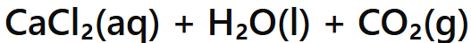 <p>Salt + Water + Carbon Dioxide</p>
