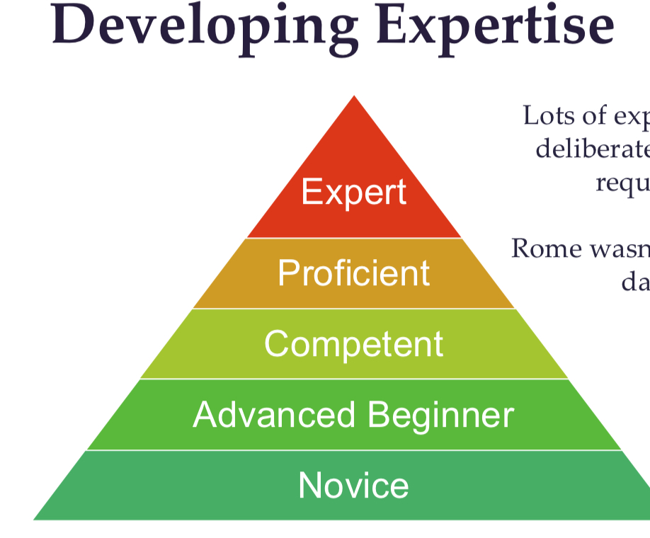 <p>Needs lots of experience and deliberate practice to reach expert</p>