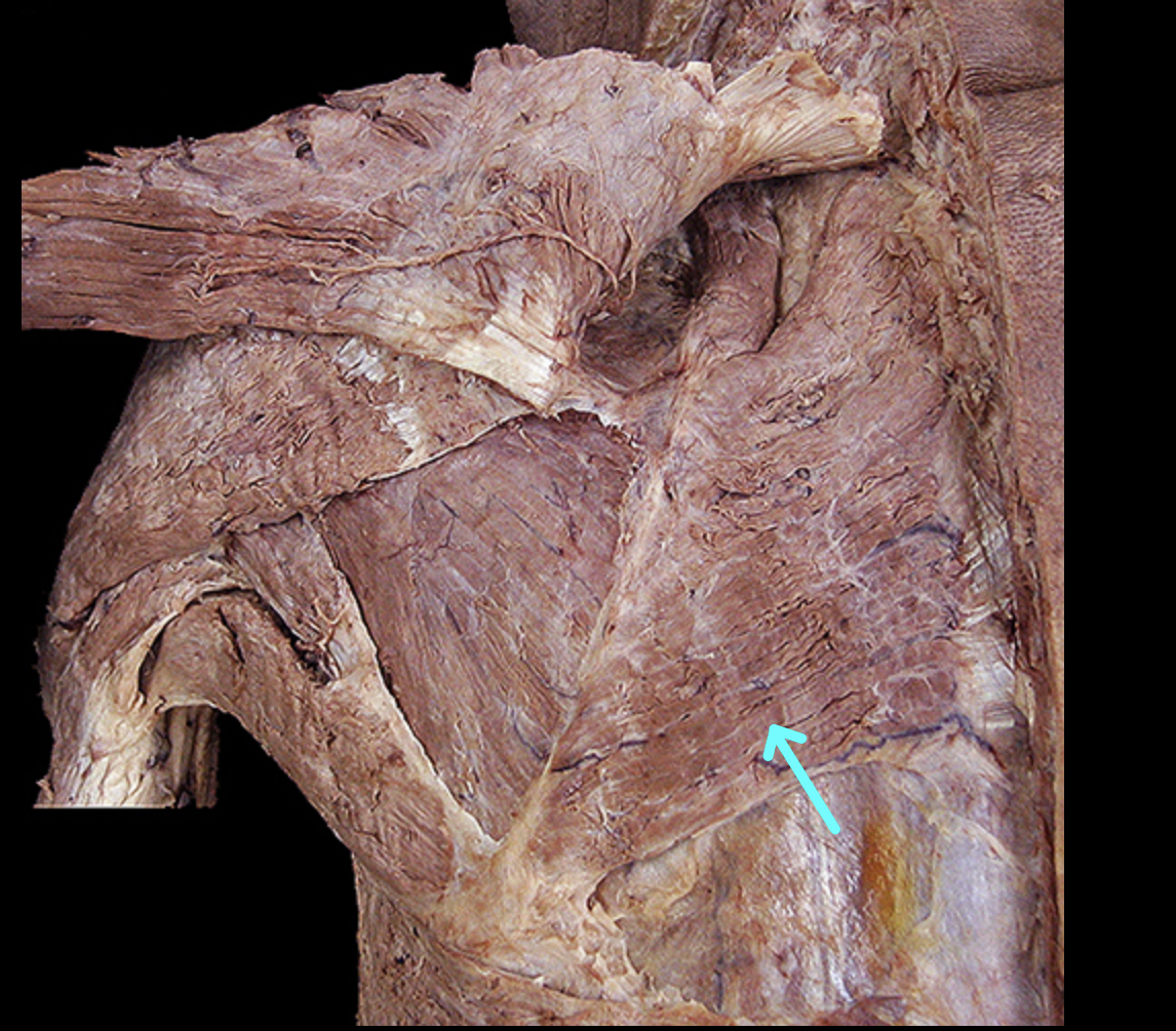 <p>Structure</p>
