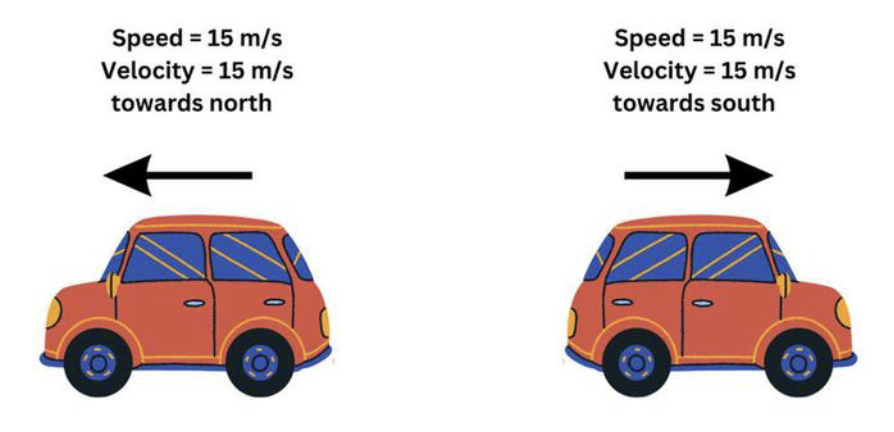 <p>|v(t)|</p>