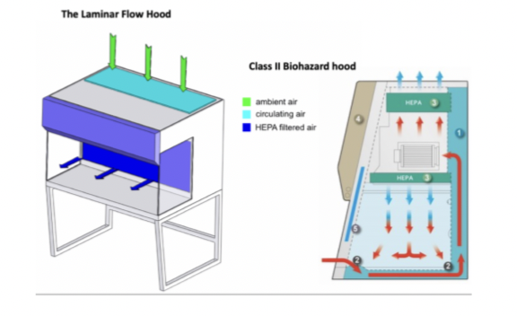 Laminar flow hood- 

 

Air comes in through the top through the big filter and blows clean air through

Environment where there is no micro-organisms. 

 

HEPA filter= \[physical way of filtering micro-organisms from the air 

      