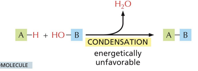 <p>condensation (water is removed)</p>