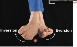 <p>inversion= sole/plantar side of foot facing inwards</p><p>eversion= sole/plantar facing outwards</p>