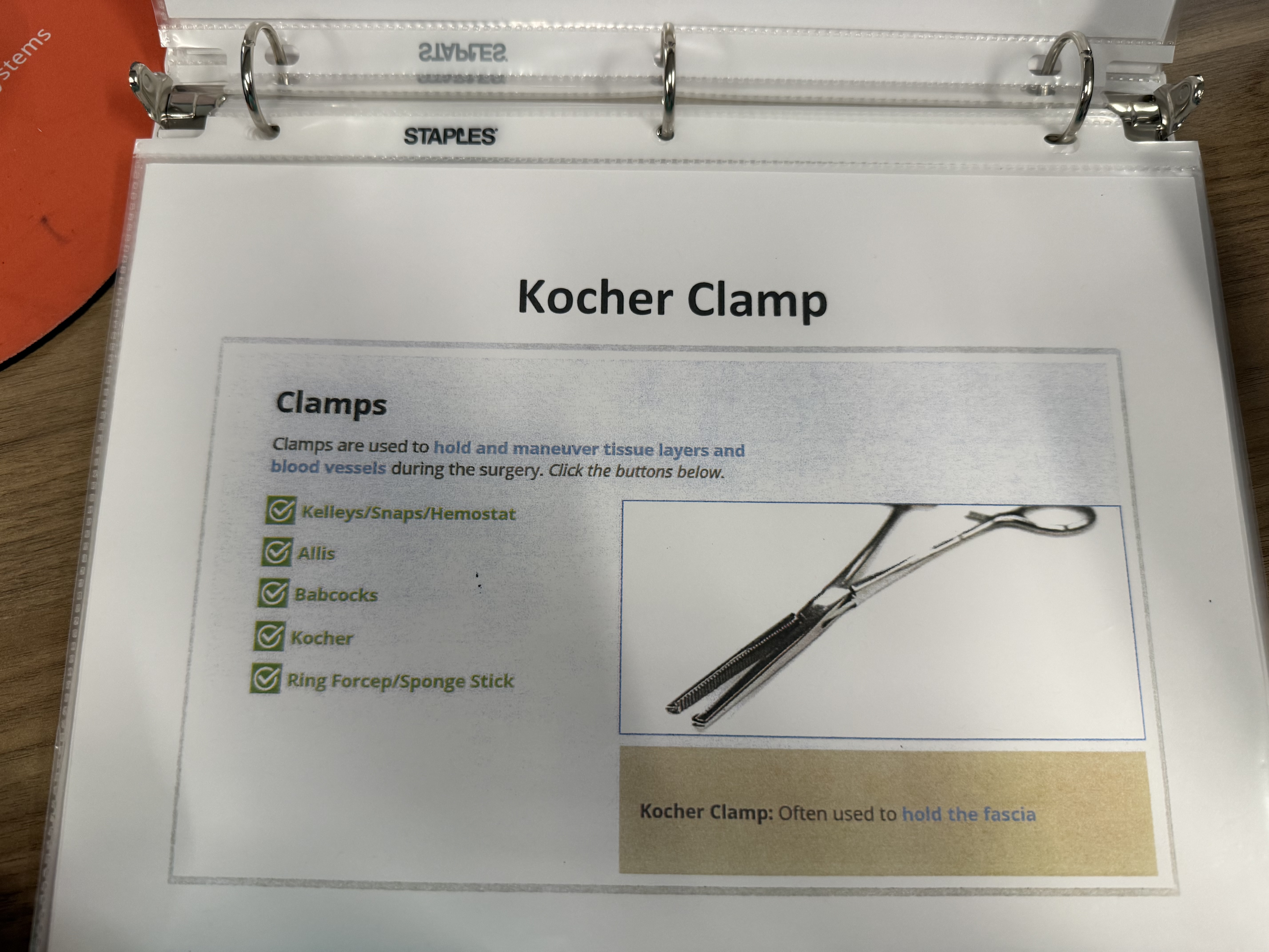 <p>Kocher Clamp</p>