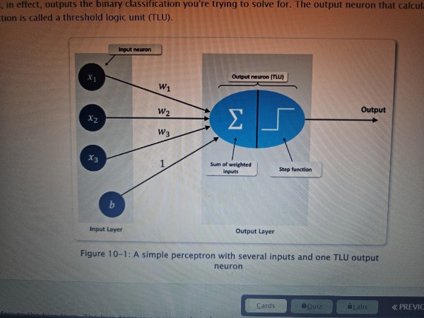 <p>An output neuron that calculates the weighted sun of input neurons and then implements a step function</p>