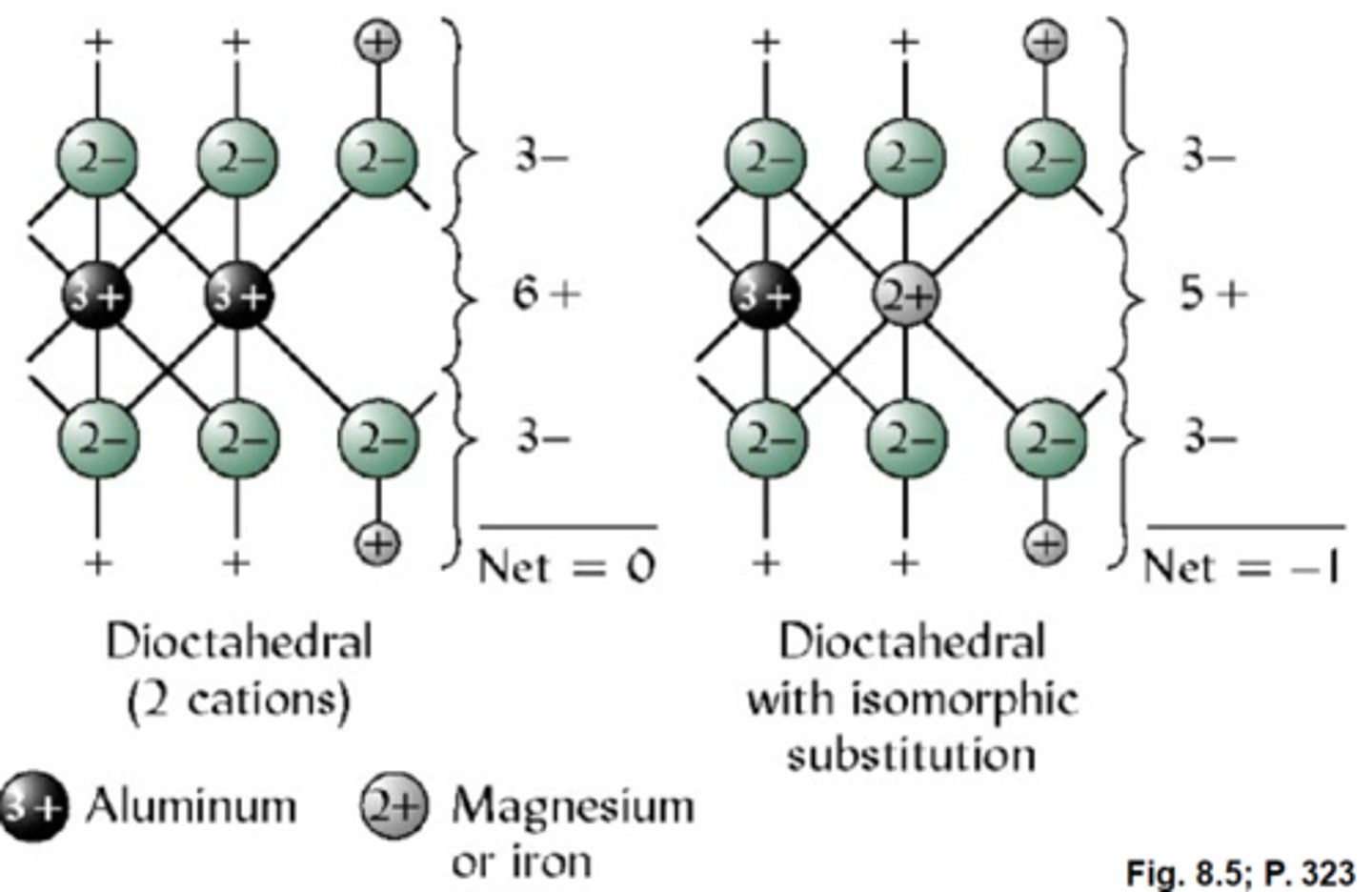 <p>Charge on colloids arising from isomorphic substitution in 2:1 or 2:1:1 clays.</p><p>-occurs on micas, vermiculites, smectites, and chlorites</p>