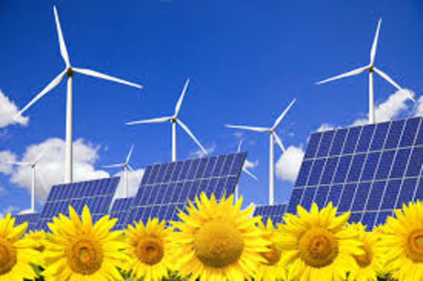 <p>renewable energy</p>