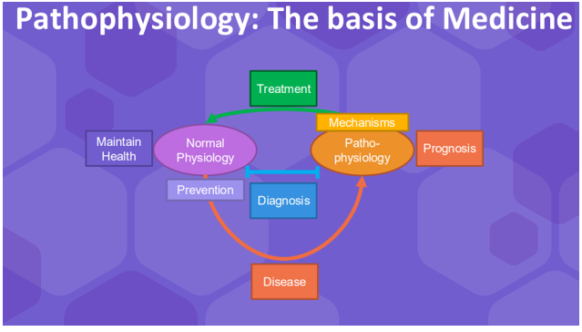 <p>Describe the diagram </p>
