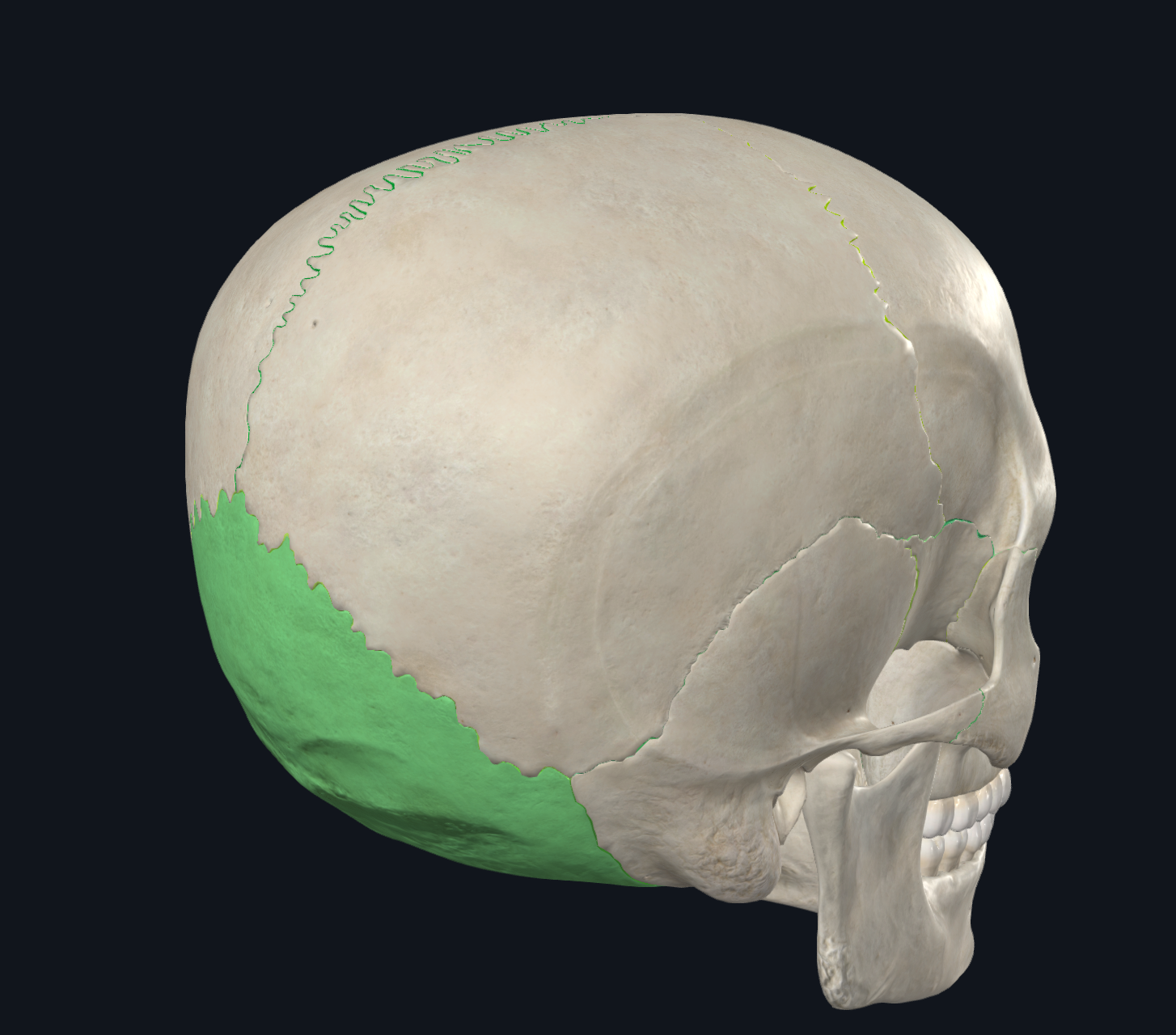 knowt flashcard image