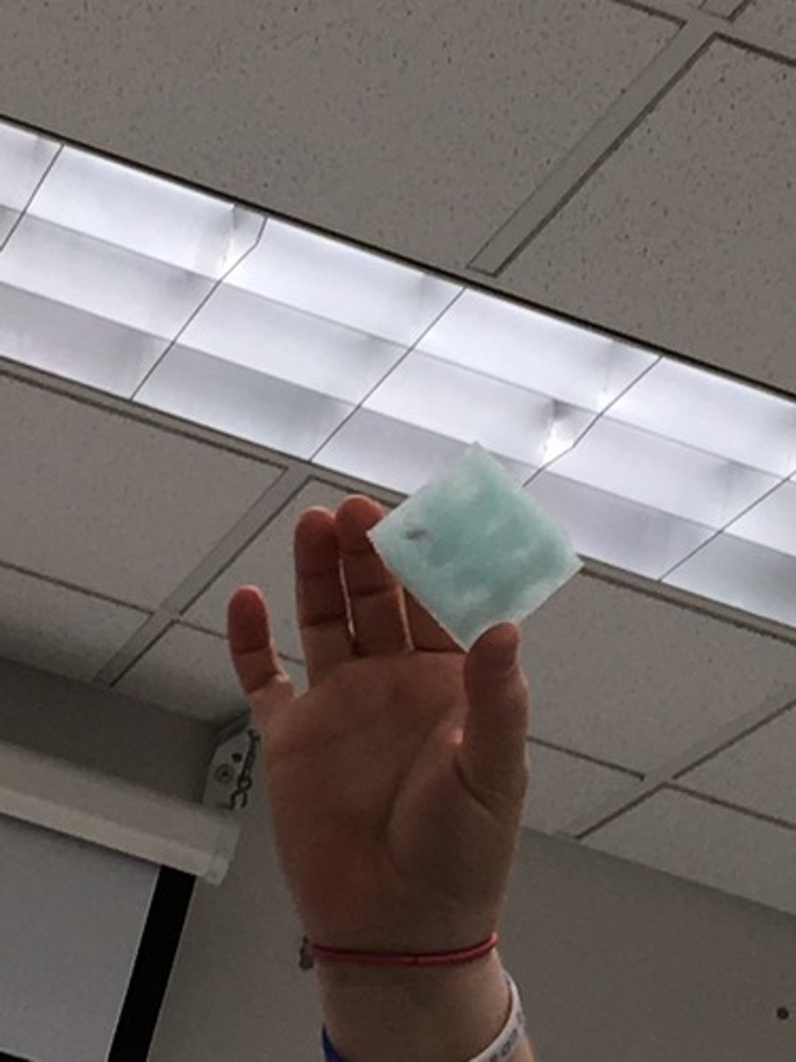 <p>used to suspend samples upright in a water bath</p>