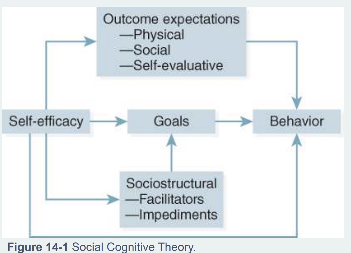 <p>-Person’s <strong>confidence</strong> in ability to perform a behavior that leads to an outcome</p><p><mark data-color="red" style="background-color: red; color: inherit;">-Regulates processes that enhance </mark><em><mark data-color="red" style="background-color: red; color: inherit;">or</mark></em><mark data-color="red" style="background-color: red; color: inherit;"> impede behavior</mark></p><p>*ex: my confidence and ability to walk 20 min vs run a marathon</p><p>-picture: self-efficacy impacts multiple things besides personal factor; can we change self-efficacy?=imp w/ patients</p>