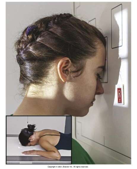 <p>What is the <u>positioning</u> of <strong>PA projection (</strong><span style="color: green"><strong>axial + w/o angle</strong></span><strong>) </strong>method for <strong>skull</strong>?</p>