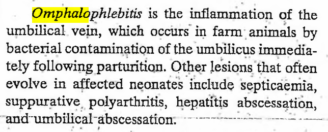 <p>False - it is suppurative polyarthritis, not fibrinous</p>