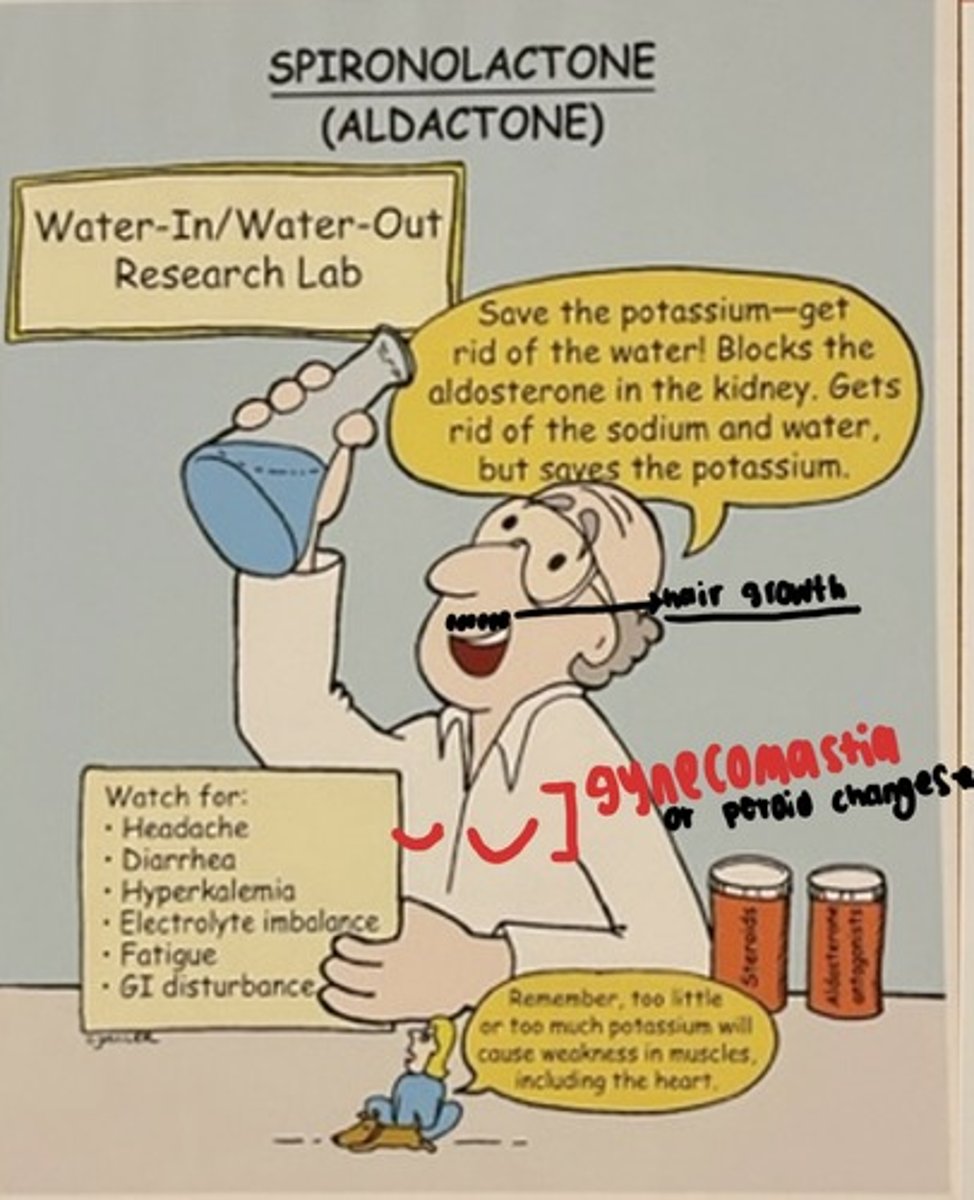 <p>Indications: HF, hypertension</p><p>MOA: Blocks aldosterone, promoting excretion of Na+ &amp; water, but retention of K+</p><p>Adverse: Hyperkalemia, amenorrhea, gynecomastia</p><p>Interventions: Monitor K+ levels, teach pts to AVOID salt substitutes containing K+, monitor BUN &amp; creatinine, monitor for dysrhythmias </p><p>SPIRonoLACtone will improve your SPIRits bc you won't LACk potassium.</p>