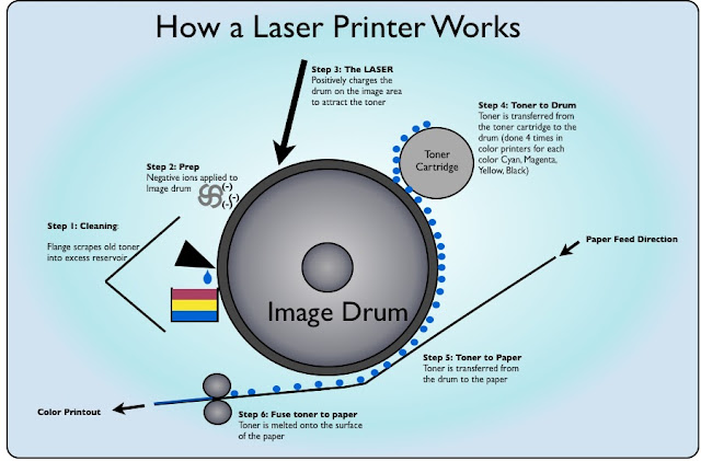 <ol><li><p>Firstly the drum is positively charged prior to any lasers being used.</p></li><li><p>Next main areas of the drum get discharged leaving behind the actual page being printed out or rather the template to follow.</p></li><li><p>The Toner dispenses negative charged toner onto the drum being attracted towards the positive parts.</p></li><li><p>Then the toner is added onto the paper and heated on with use of fusers.</p></li></ol>