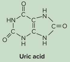 <p>Uric acid</p>