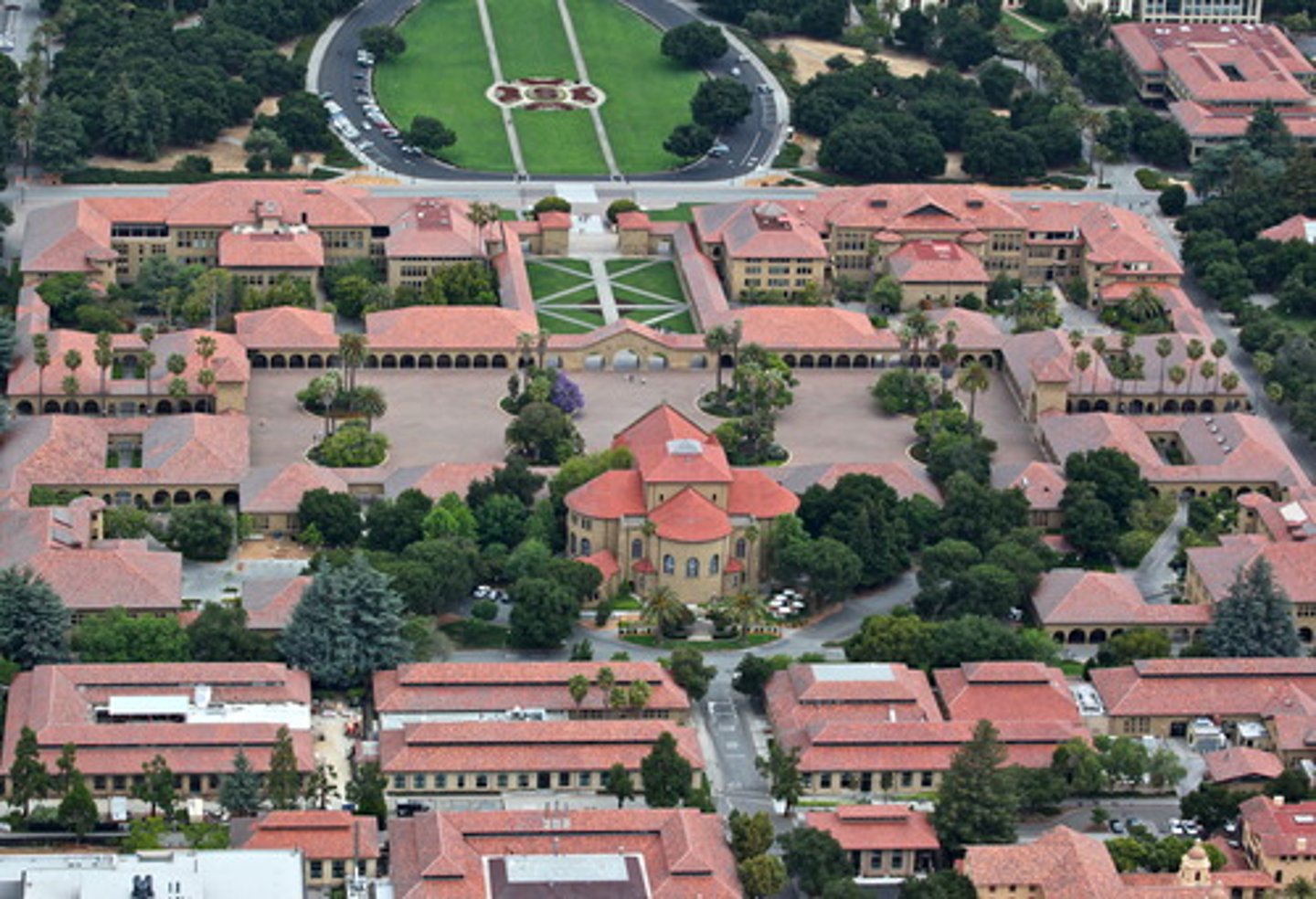 <p>college</p>