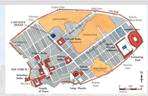 <p>&nbsp;</p><ul><li><p>in <strong>southern italy</strong></p></li><li><p><strong>not originally a roman city</strong></p><ul><li><p><strong>first group</strong> of people living in the area are <strong>oscans and then samnites</strong></p></li><li><p><strong>after </strong>romans came into power <strong>pompeii absorbed Both groups</strong></p><ul><li><p><strong>After the social war in 80 BCE</strong></p></li></ul></li></ul></li><li><p><strong>mount vesuvius</strong></p><ul><li><p><strong>79 CE</strong></p></li><li><p>erupted and <strong>city covered in ash</strong></p><ul><li><p><strong>caused great preservation of everyday life</strong></p></li></ul></li></ul></li><li><p><strong>stone steps</strong></p><ul><li><p><strong>pompeii tend to get flooded</strong></p></li></ul></li><li><p><strong>Not </strong>the typical <strong>castrum </strong>plan</p></li><li><p><strong>not rectangular</strong></p><ul><li><p>&nbsp;<strong>blocks </strong>were more <strong>trapezoidal</strong></p></li><li><p><strong>streets bend</strong></p></li><li><p>We know that this is <strong>not due to organic development because</strong> the <strong>newer sections</strong> which is on the east <strong>and </strong>the <strong>older areas</strong> surrounding the forum both <strong>show this type of irregularity</strong></p></li></ul></li><li><p><strong>public spaces</strong></p><ul><li><p><strong>bakeries</strong></p></li><li><p><strong>Thermapolla</strong></p><ul><li><p><strong>Hot food </strong>vendors</p></li></ul></li><li><p><strong>Brothels</strong></p><ul><li><p><strong>Contain mural paintings</strong></p></li></ul></li></ul></li><li><p><strong>Residential areas</strong></p><ul><li><p><strong>Included homes and shops</strong></p></li></ul></li><li><p><strong>Included aqueducts and drainage systems</strong></p></li></ul><p></p>