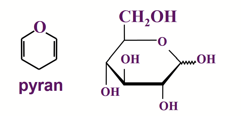 <p>The size of the ring formed by a particular sugar depends on the relative thermodynamic stabilities of the various possible ring structures, and this depends on the particular geometry of the molecule.</p>