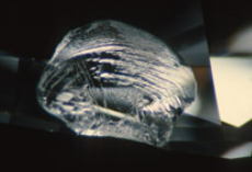 <p>What blemish is this?</p>