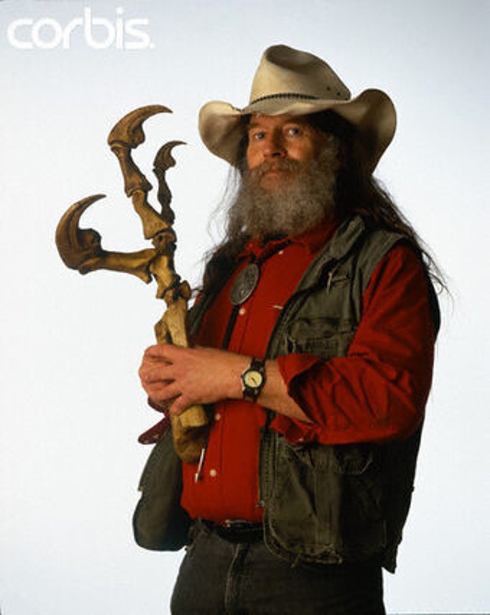 <p>Robert Bakker</p>