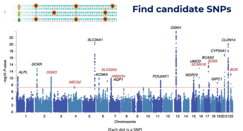 <p><strong>A:</strong> Each dot represents an SNP; those above the significance line are candidate SNPs for investigation.</p>
