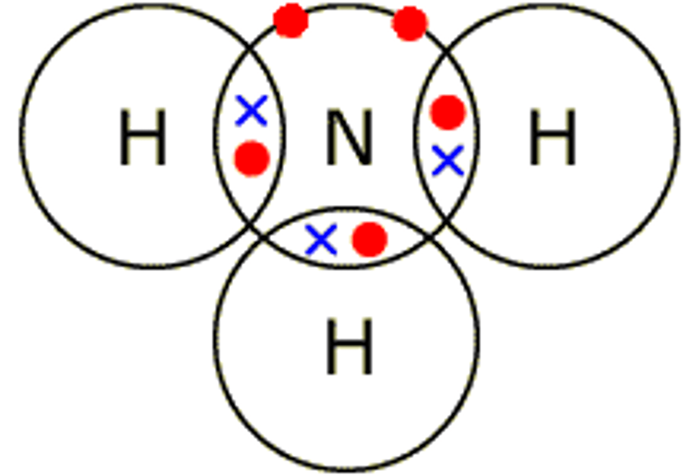<p>ammonia</p>