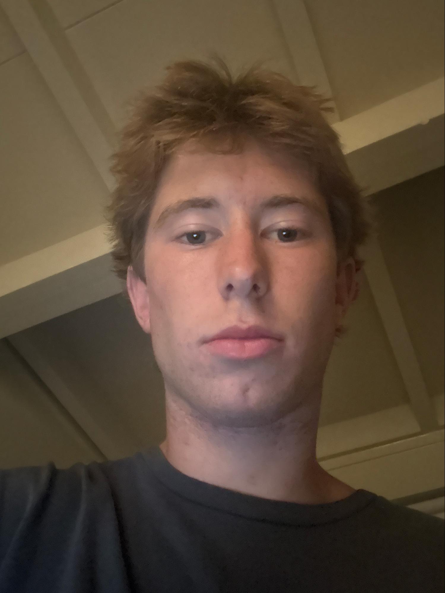 <p></p><p></p><p>Went scuba diving with sharks</p>