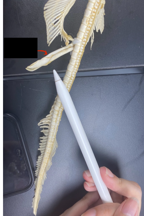 <p>What part is this</p>
