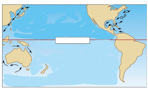 <p> Wind and surface water flow of Pacific Ocean circulation during El Niño years</p>