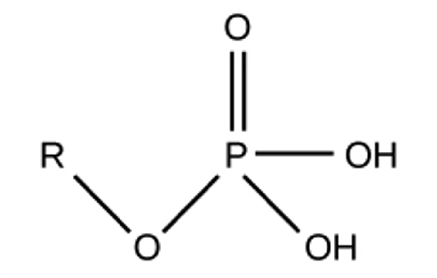 <p>PO4H2 --> PO4</p><p>Organic Phosphate</p><p>Acidic</p>