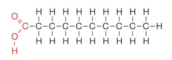 <p>carboxyl + CH’s + methyl</p>