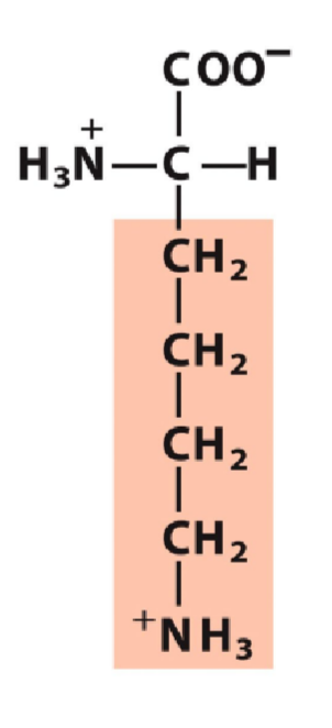 <p>Positive, pKa 10.53</p>