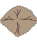 A basin structure in which the streams converge toward the center.