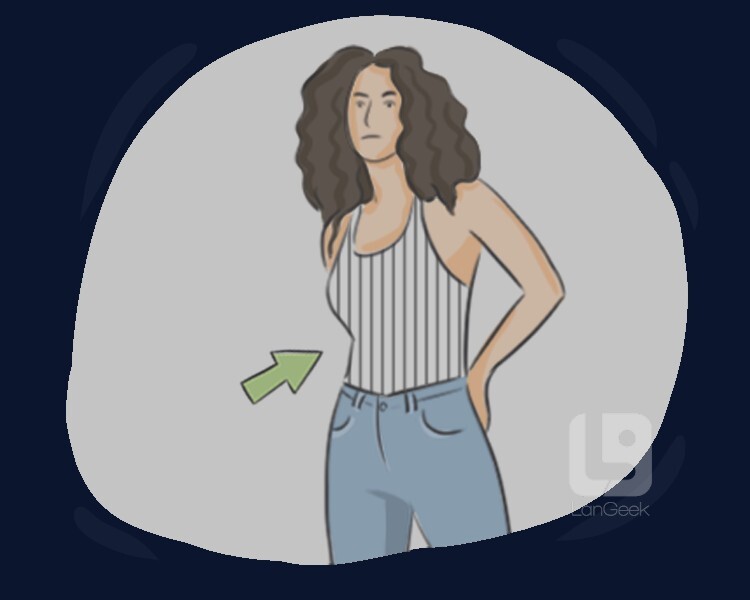 <p class="tw-m-0 tw-text-justify tw-w-full tw-text-sub-title tw-font-text-medium tw-text-base sm:tw-text-lg  ">having a pattern of straight parallel lines</p>